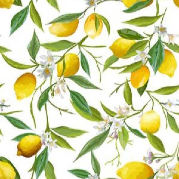 Lemone