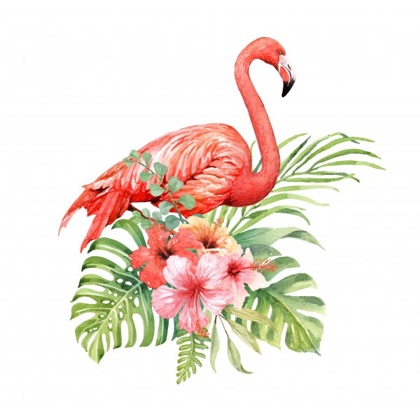 Flamingo Deseni