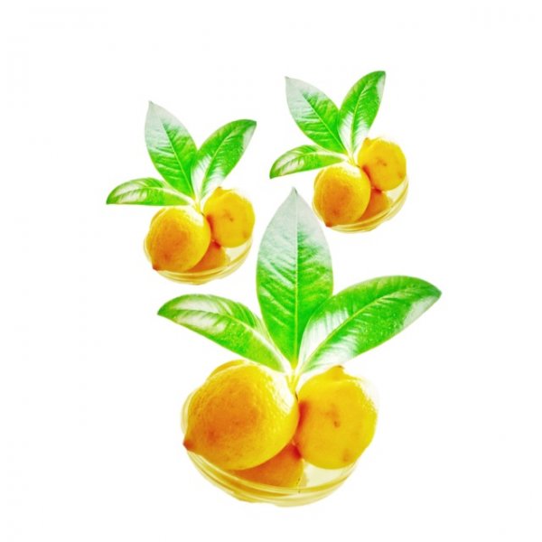 Taze limon