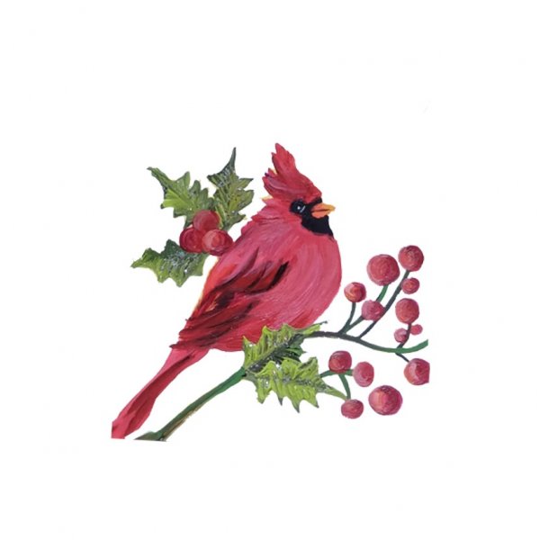 Cardinal bird 2