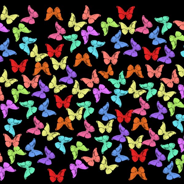Kelebeklerin Dansı