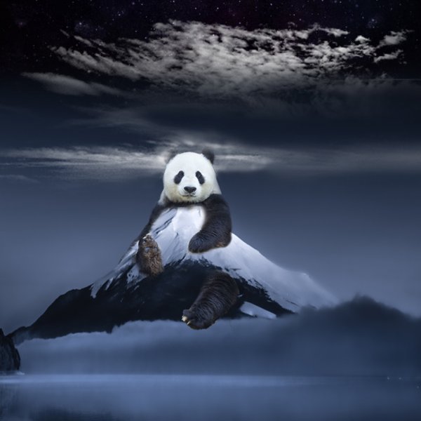 Panda Mountain