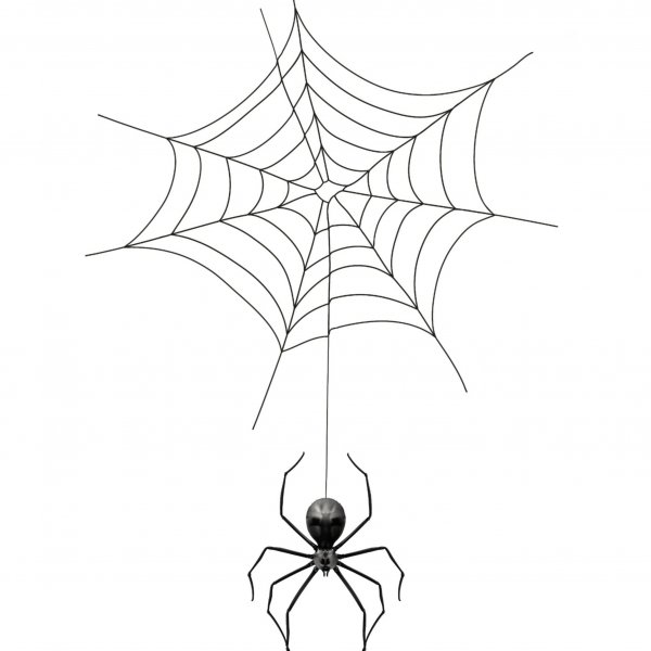Örümcek ve ağ