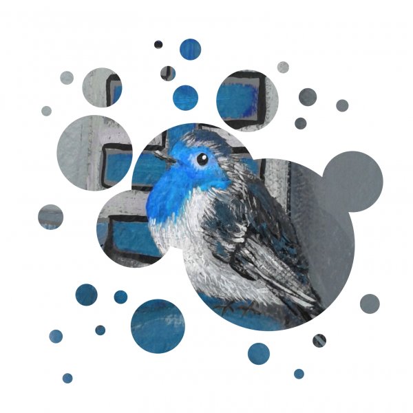 Mavi Robin kuşu