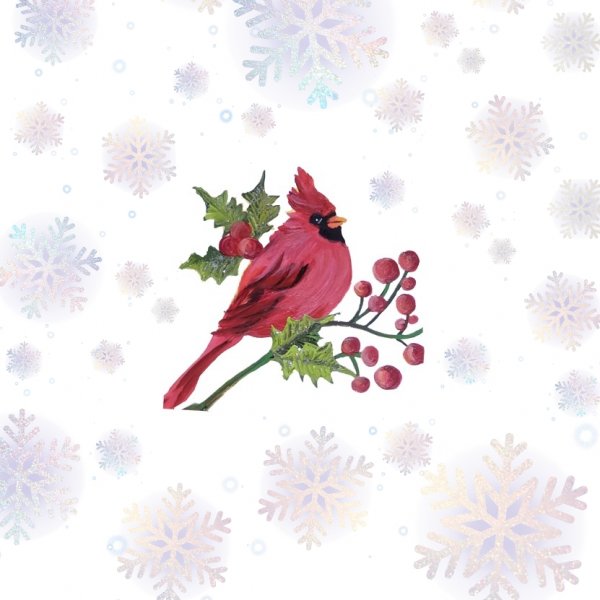 Christmas cardinal bird