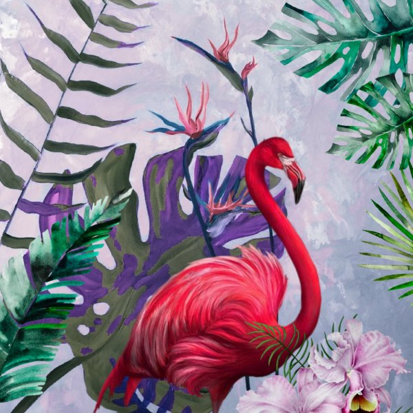 Cennet kuşu çiçeği & Flamingo