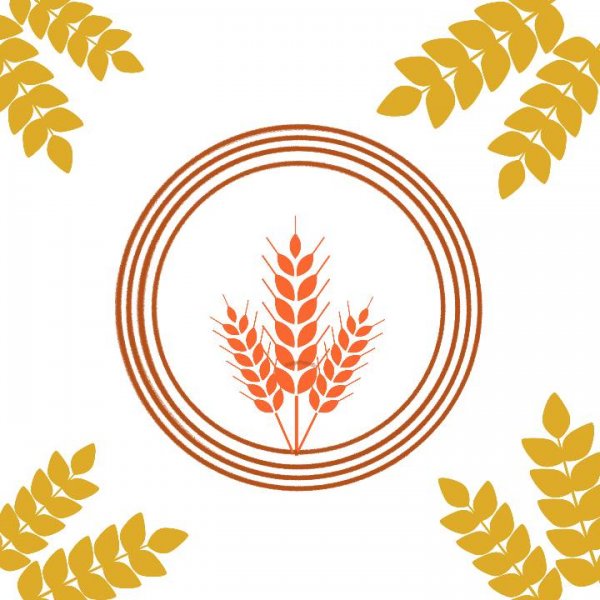 Buğday başağı tasarımı