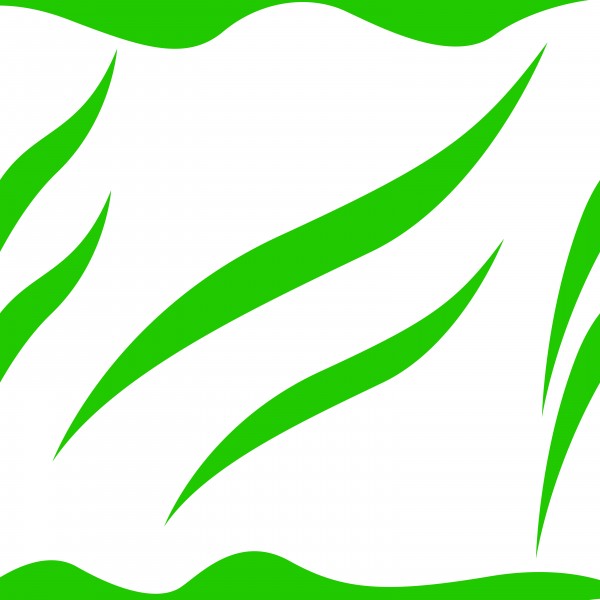 yeşil desen
