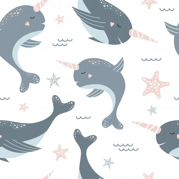 narwhals