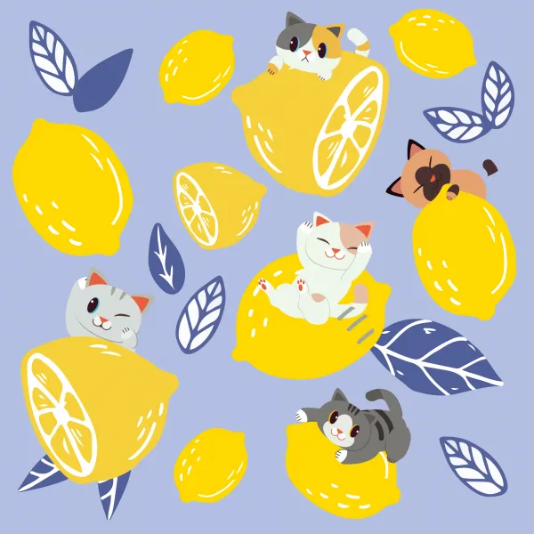 Lemon and Cat