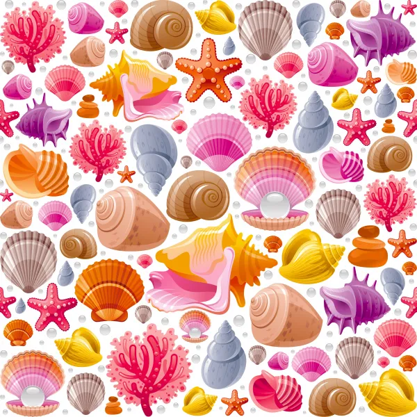 Shells