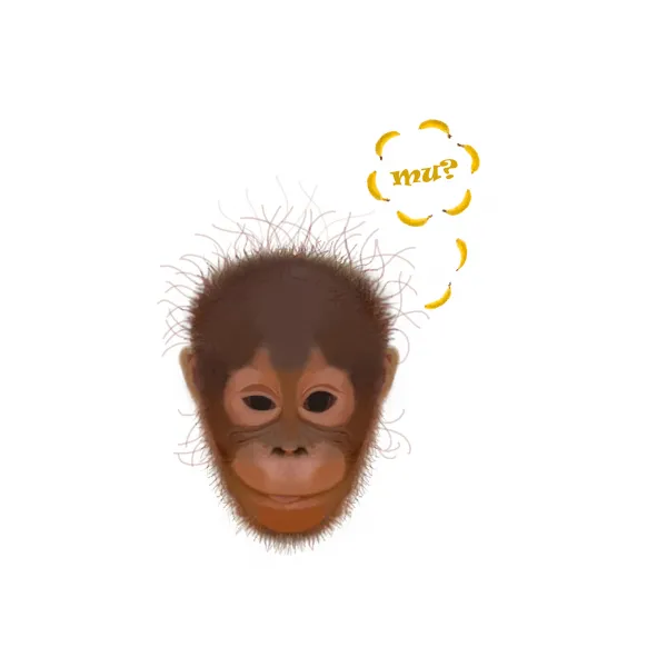 ORANGUTAN