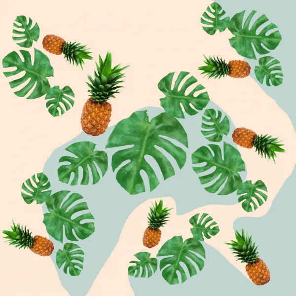 Ananas