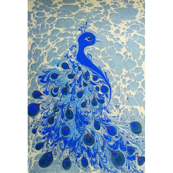 Ebru art by Mai Hatti(Hatice Türkergin)