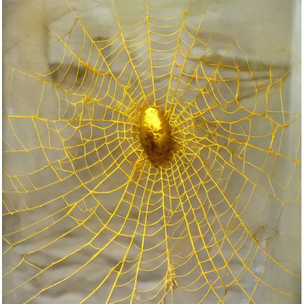 Sanatsal desenli tasarımlar