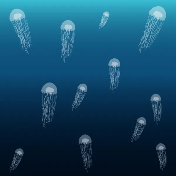 Jellyfish