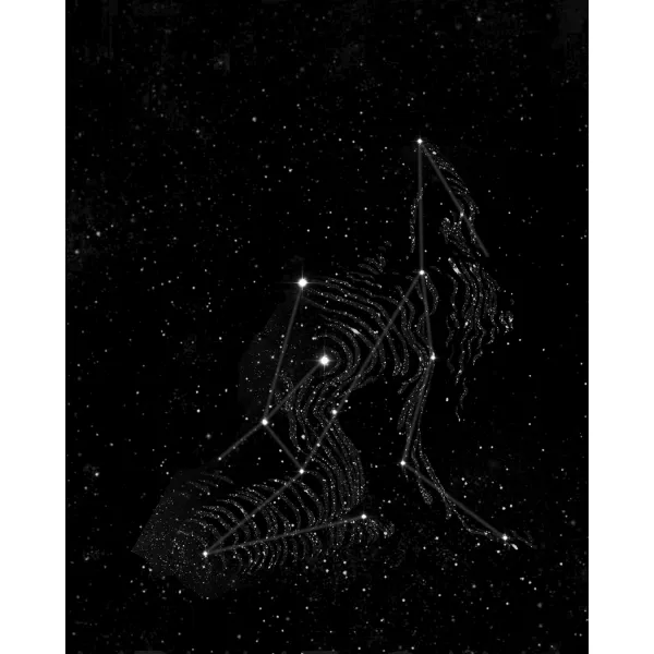 Woman Constellation