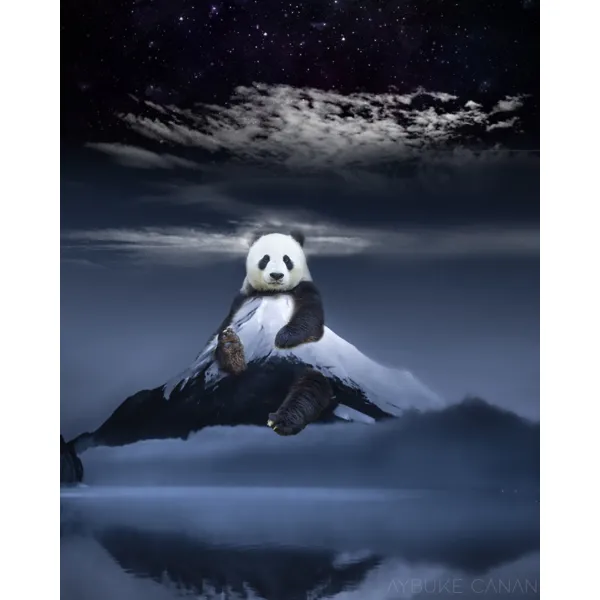 Panda Mountain