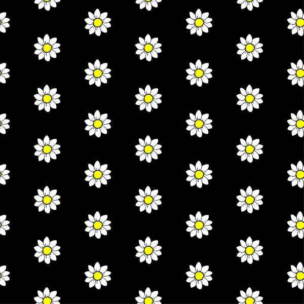 Black Daisies