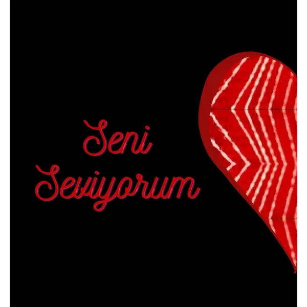 Seni Seviyorum