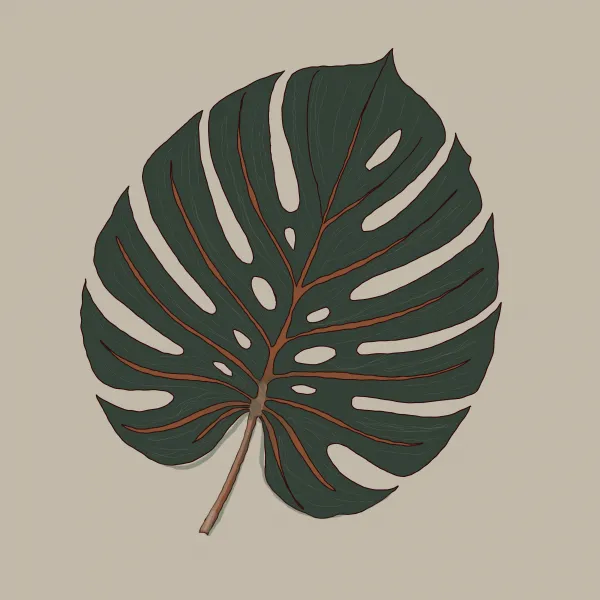 Monstera
