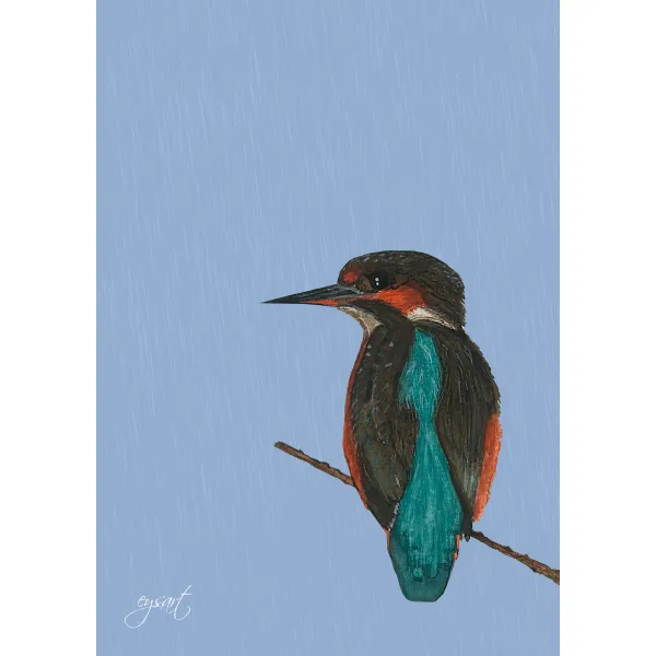 kingfisher